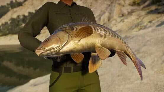 Call of the Wild: The Angler - Ultimate Fishing Bundle — screenshot 5