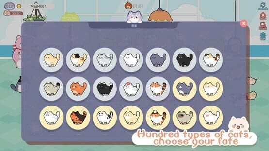 Cat And Life — screenshot 3