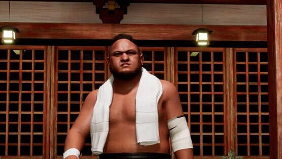 All Elite Wrestling: Fight Forever - World War Joe — screenshot 1
