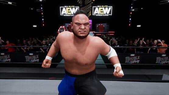 All Elite Wrestling: Fight Forever - World War Joe — screenshot 5