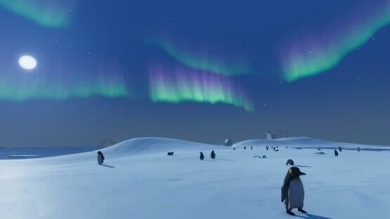 Penguin Helper — screenshot 1