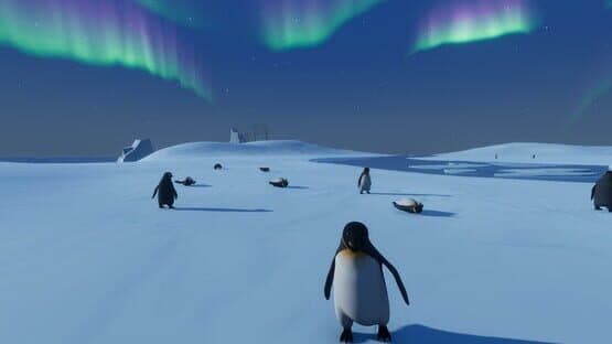 Penguin Helper — screenshot 4