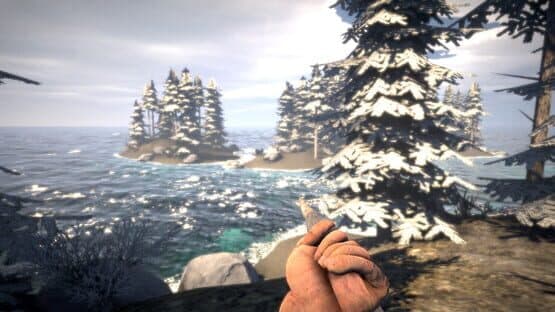 Survival Prototype X — screenshot 4
