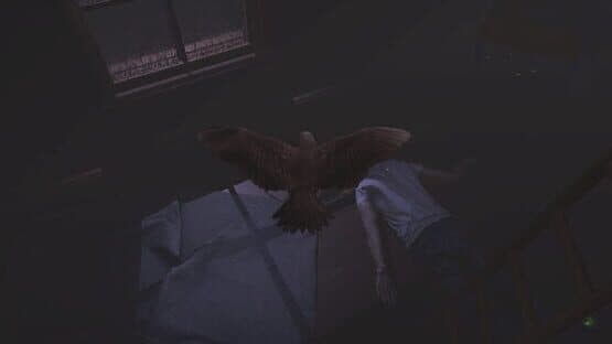 Sparrow — screenshot 2