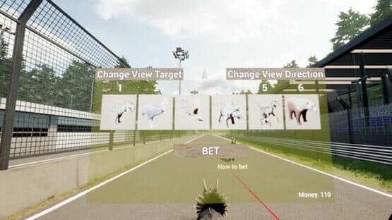 Animal Race Run VR — screenshot 1