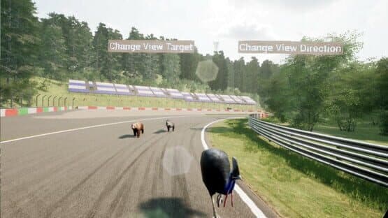 Animal Race Run VR — screenshot 2