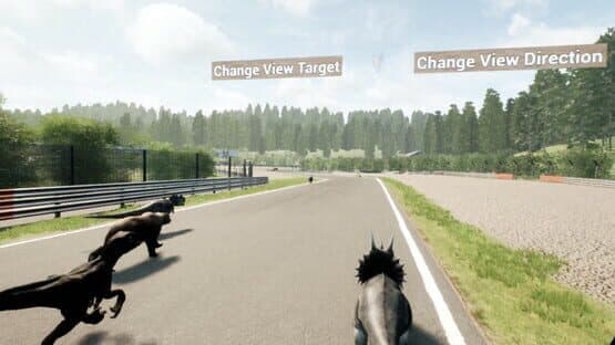 Animal Race Run VR — screenshot 4