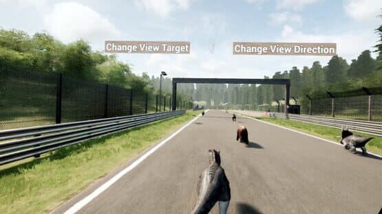 Animal Race Run VR — screenshot 7