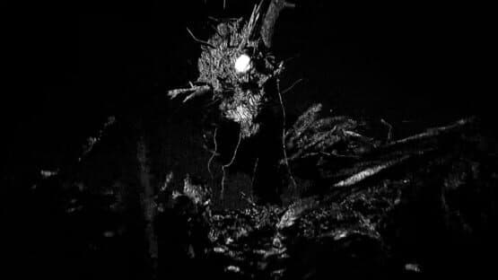 Echoes — screenshot 1