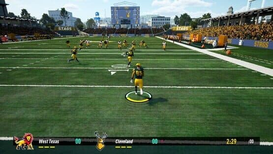 Maximum Football — screenshot 2