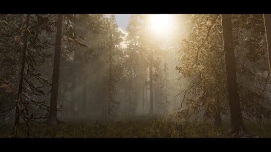 Silent Mourning — screenshot 1