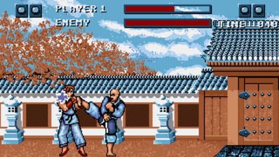 Street Fighter — screenshot 2