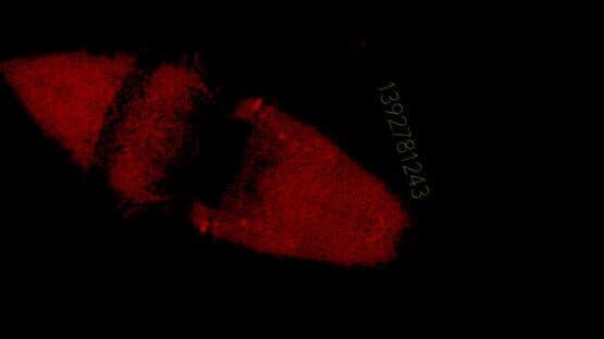 Precognition — screenshot 3