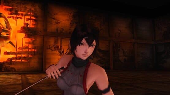 Red Ninja: End of Honor — screenshot 1