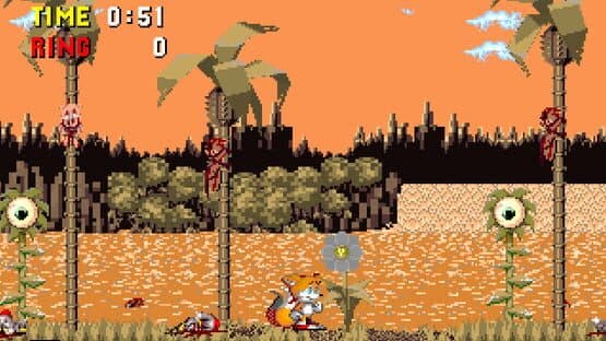 Sonic PC Port Remake — screenshot 2