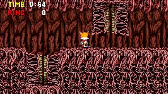 Sonic PC Port Remake — screenshot 3