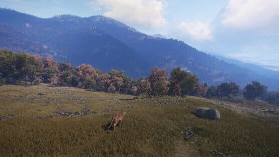 TheHunter: Call of the Wild - Sundarpatan Nepal Hunting Reserve — screenshot 4