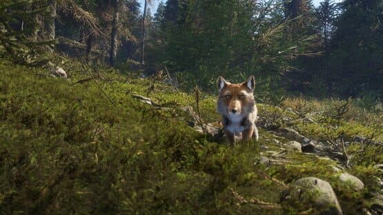 TheHunter: Call of the Wild - Sundarpatan Nepal Hunting Reserve — screenshot 6