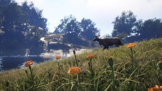 TheHunter: Call of the Wild - Sundarpatan Nepal Hunting Reserve — screenshot 8