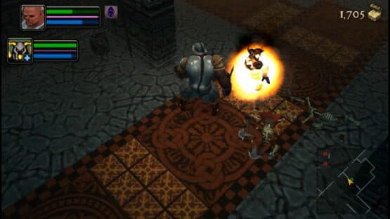 Dungeon Siege: Throne of Agony — screenshot 1