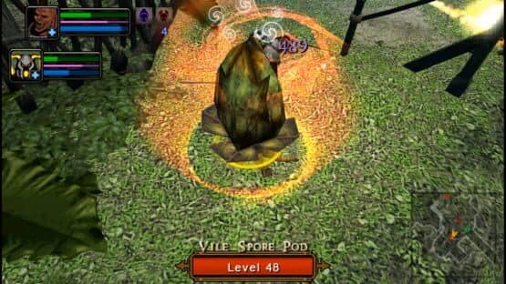 Dungeon Siege: Throne of Agony — screenshot 4