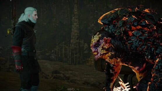 The Witcher 3: Wild Hunt - New Quest 'Contract: Missing Miners' — screenshot 2