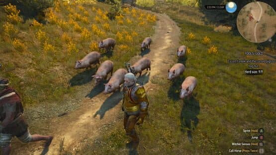 The Witcher 3: Wild Hunt - New Quest 'Fool's Gold' — screenshot 2