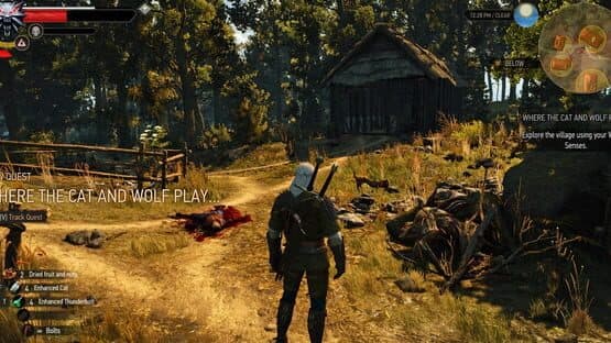 The Witcher 3: Wild Hunt - New Quest 'Where the Cat and Wolf Play...' — screenshot 2