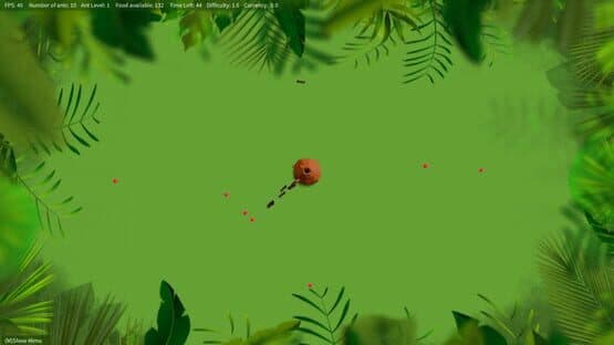 Queen of The Hill — screenshot 1