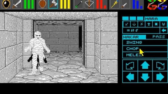 Dungeon Master: Theron's Quest — screenshot 5