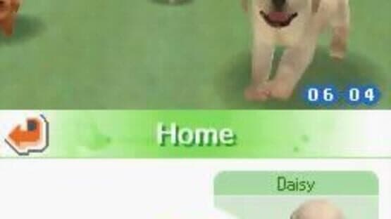 Nintendogs: Chihuahua & Friends — screenshot 1