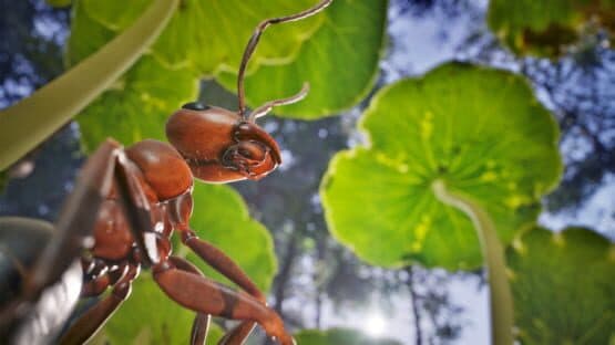 Empire of the Ants — screenshot 1