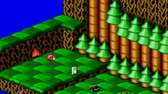 Snake Rattle 'n' Roll — screenshot 2