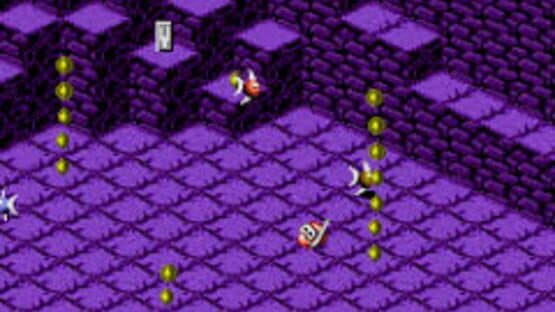 Snake Rattle 'n' Roll — screenshot 5