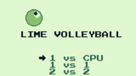 Lime Volleyball — screenshot 1