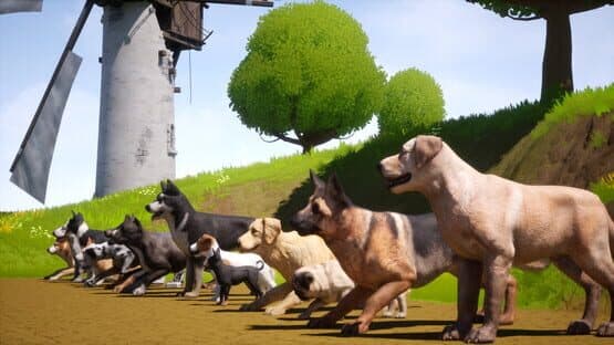 Dogs Club — screenshot 1