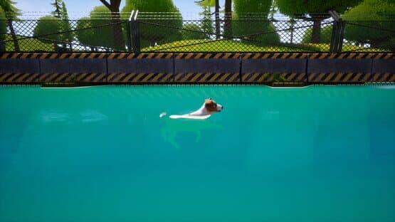 Dogs Club — screenshot 2