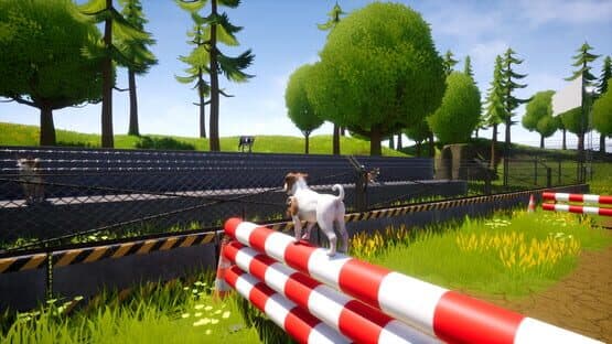 Dogs Club — screenshot 3