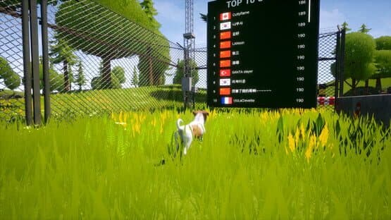 Dogs Club — screenshot 4