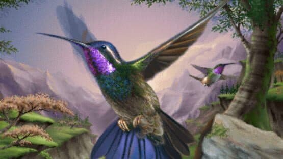 Kolibri — screenshot 2