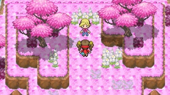 Pokémon Hidden Place — screenshot 2
