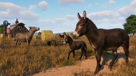 Planet Zoo: Barnyard Animal Pack — screenshot 4