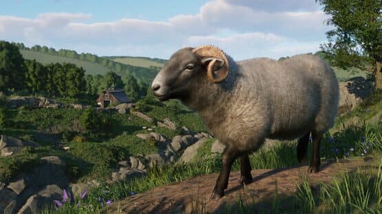 Planet Zoo: Barnyard Animal Pack — screenshot 7