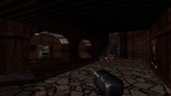 Wang Nukem — screenshot 3