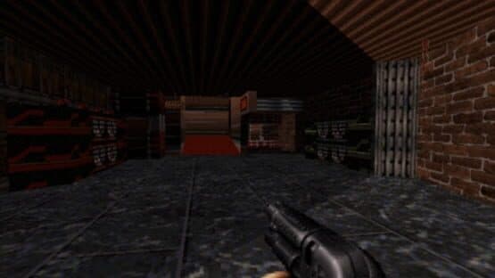 Wang Nukem — screenshot 4