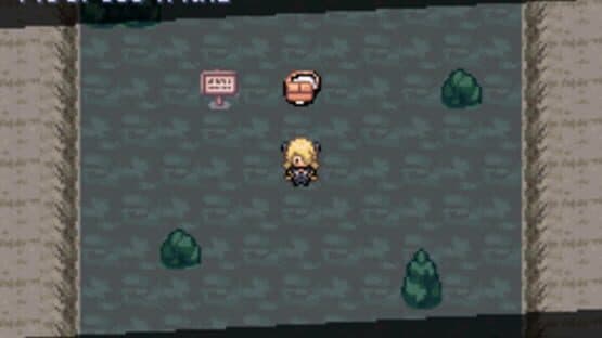Pokémon: The Pit — screenshot 1