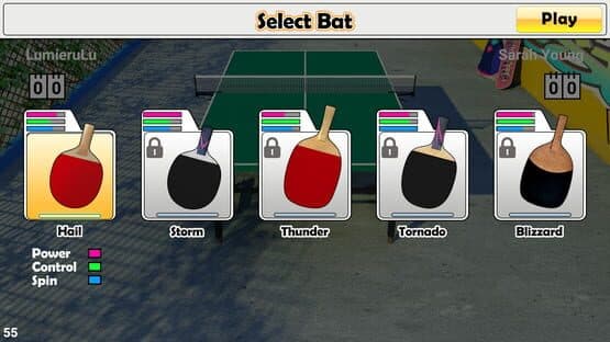 Virtual Table Tennis — screenshot 8