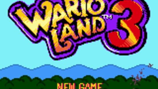 Wario Land 3: The Master Quest — screenshot 1