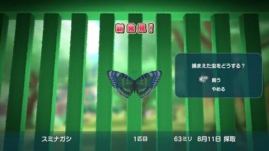 Natsu-Mon: 20th Century Summer Kid: Broadcast Over Sunset — screenshot 4