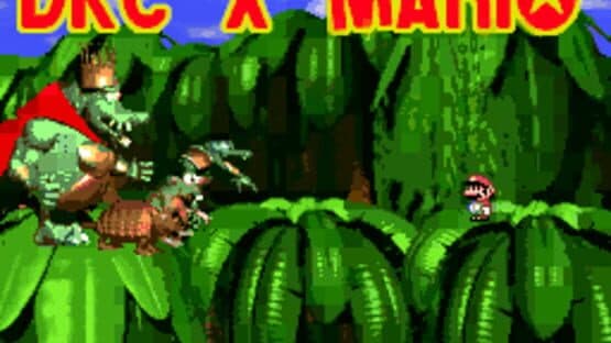 DKC X Mario — screenshot 1